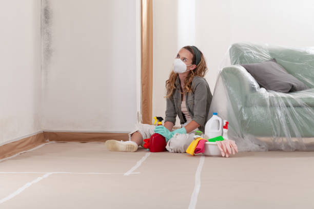 Reliable Hvac And Air Duct Mold Remediation contractor in Kingsley, MI by 24 Hour Mold Removal